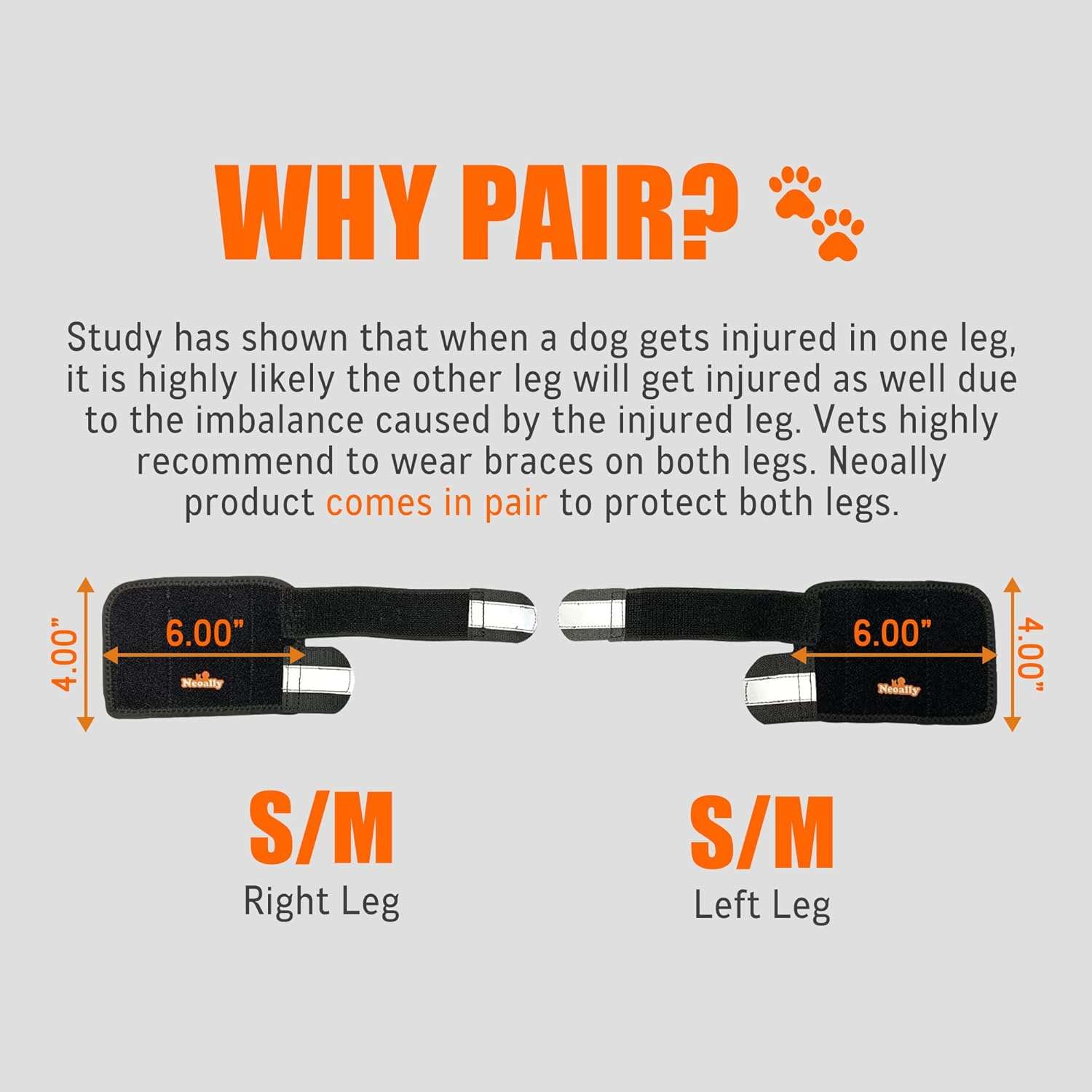 Ferula perro 3 en 1 pata delantera metal resortes compresion soporte carpo esguince recuperacion