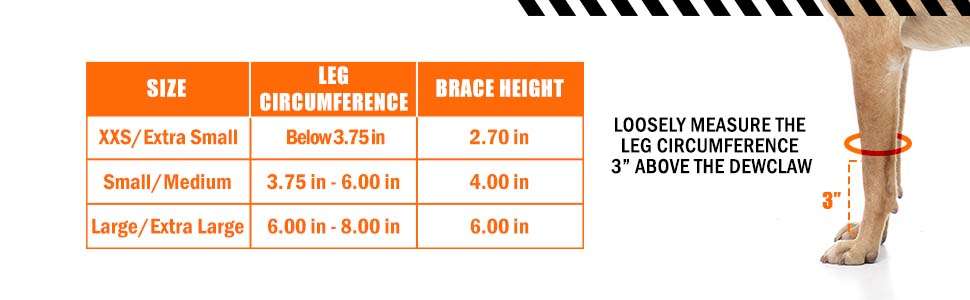 Ferula perro 3 en 1 pata delantera metal resortes compresion soporte carpo esguince recuperacion