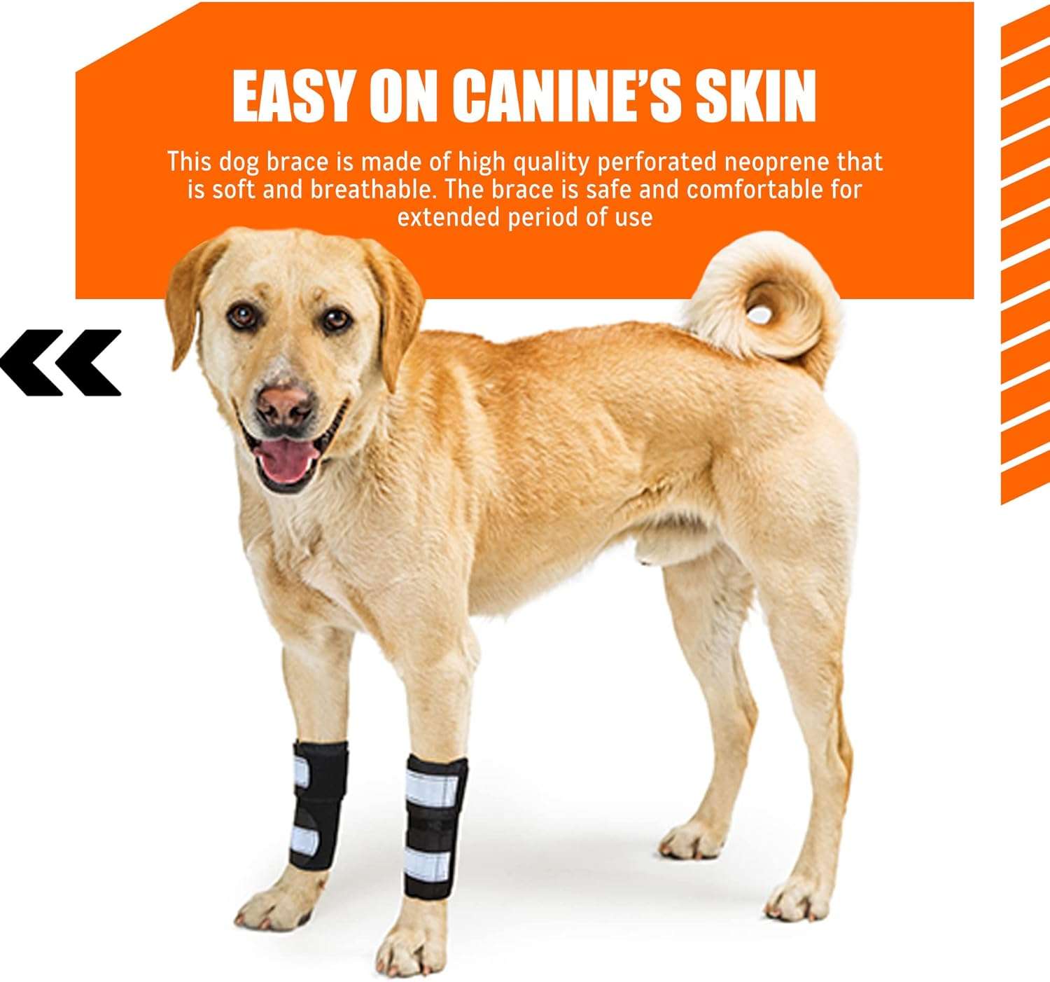 Ferula perro 3 en 1 pata delantera metal resortes compresion soporte carpo esguince recuperacion