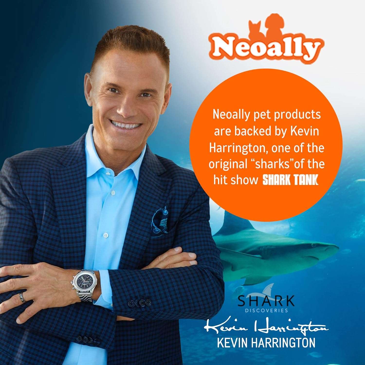 Ferula perro 3 en 1 pata delantera metal resortes compresion soporte carpo esguince recuperacion