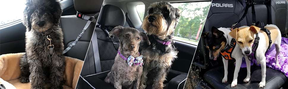 Pack 2 cinturones seguridad perro reposacabezas auto universal ajustable nylon negro arnes viaje