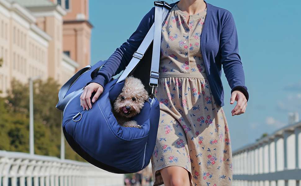 Silla auto perro elevada anti mareo 58x53 cm azul lavable bulldog frances pug mirar ventana