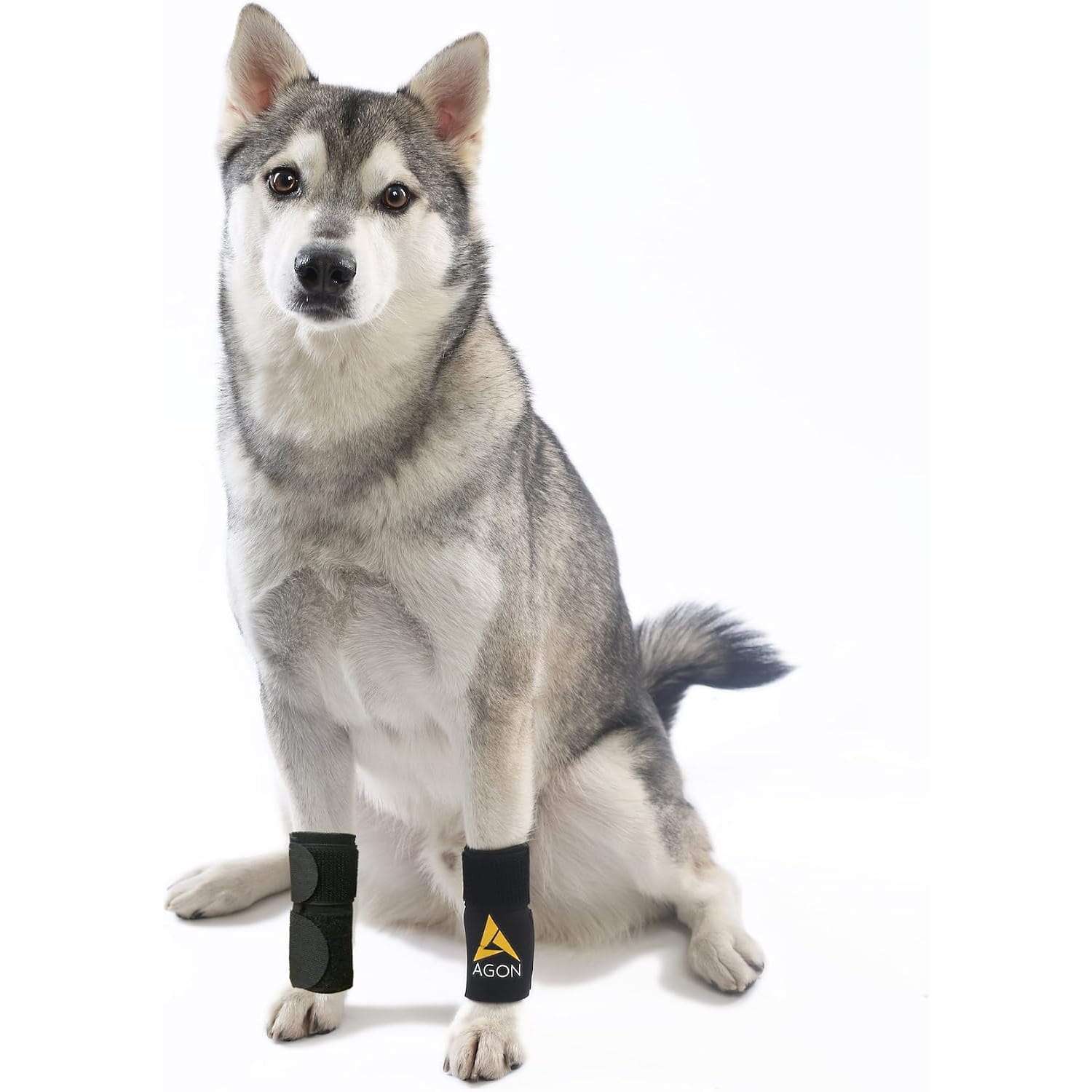Soporte pata delantera perro compresion artritis heridas granuloma lamido proteccion muñequera