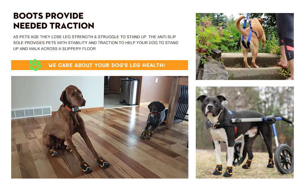 Zapatos perro grande impermeable trekking pavimento caliente nieve antideslizante reflectante pastor aleman