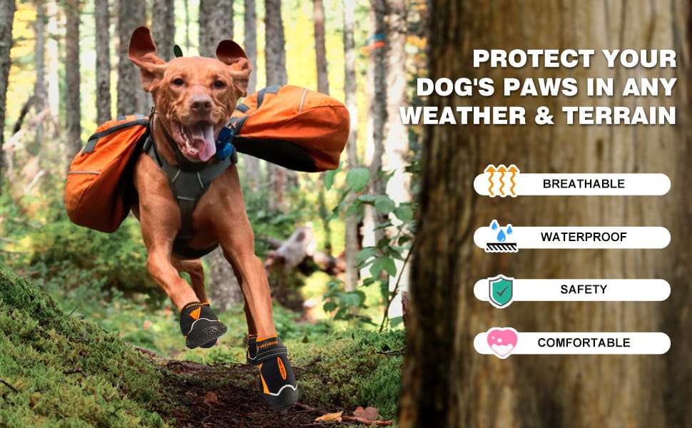 Zapatos perro grande impermeable trekking pavimento caliente nieve antideslizante reflectante pastor aleman