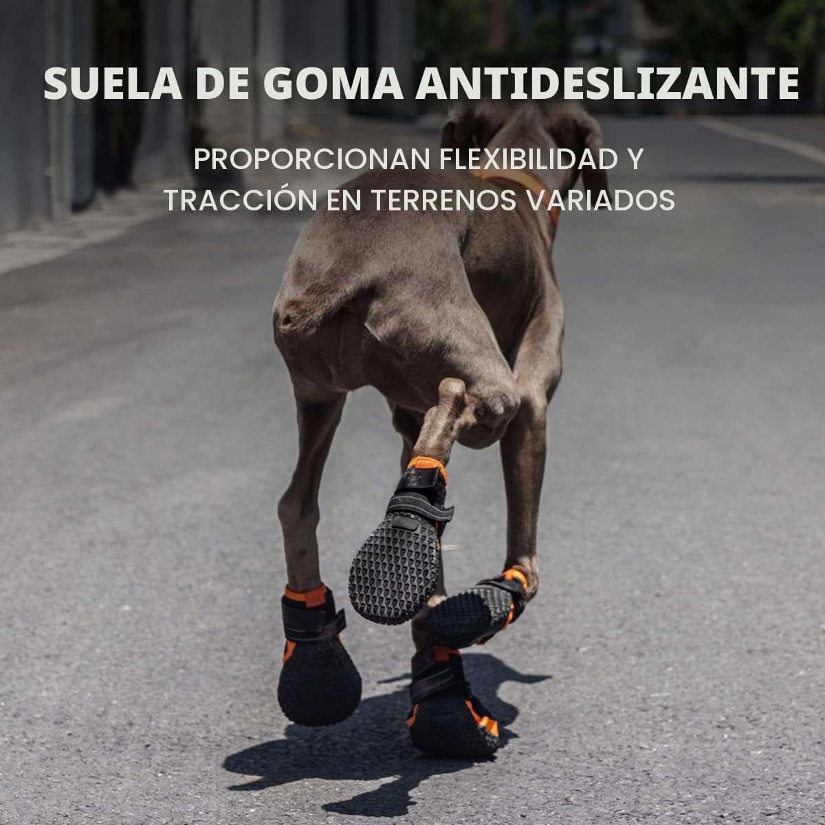 Zapatos perro grande impermeable trekking pavimento caliente nieve antideslizante reflectante pastor aleman