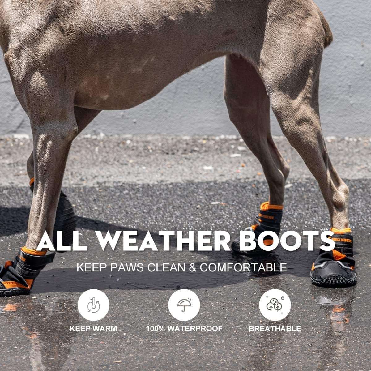 Zapatos perro grande impermeable trekking pavimento caliente nieve antideslizante reflectante pastor aleman