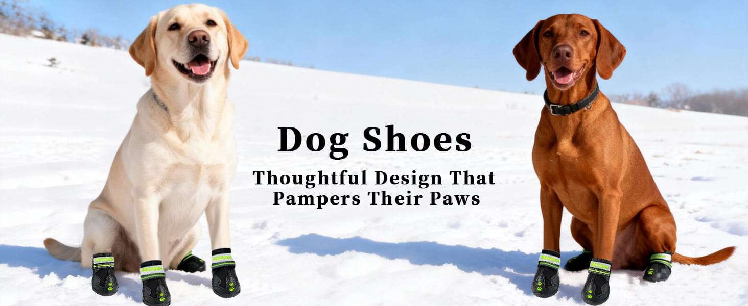 Zapatos perro impermeable todo terreno bordado huella pavimento caliente lluvia antideslizante reflectante