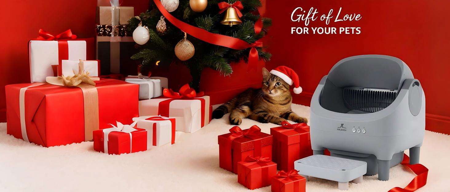 baño automatico gatos con escalon wifi 53x45x54 centimetros autolimpiable ideal para chile