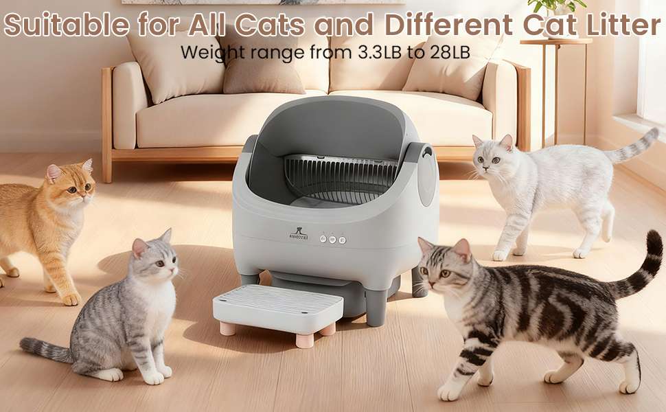 baño automatico gatos con escalon wifi 53x45x54 centimetros autolimpiable ideal para chile