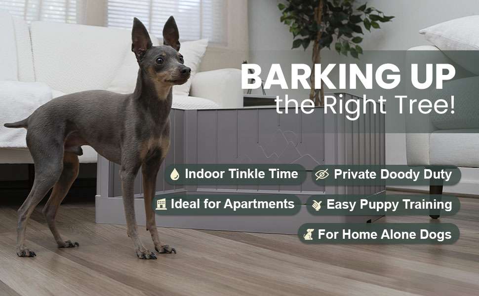 baño interior perros paredes altas pasto sintetico 78x63x38 centimetros sabanillas ideal para chile