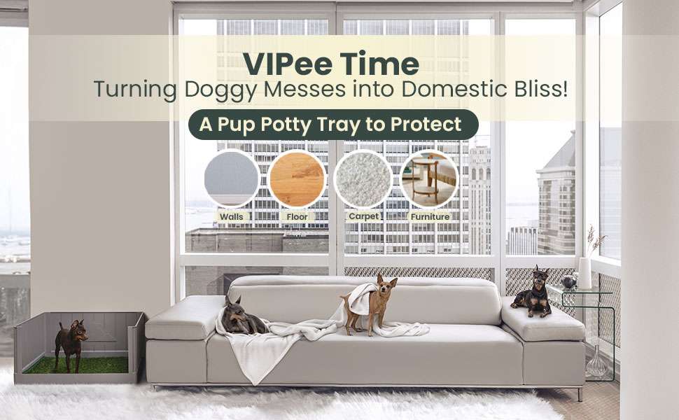 baño interior perros paredes altas pasto sintetico 78x63x38 centimetros sabanillas ideal para chile