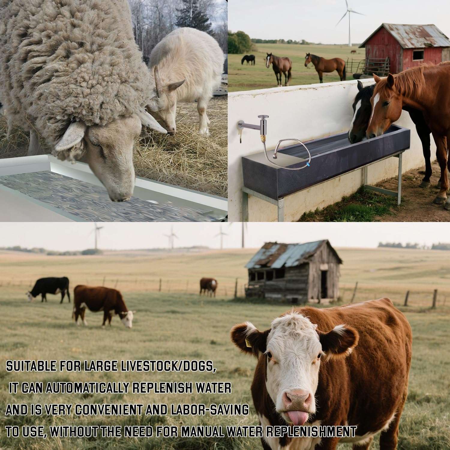 Bebedero automatico gigante de acero inoxidable de 54 litros y 100 centimetros para ganado y perros grandes en parcela.