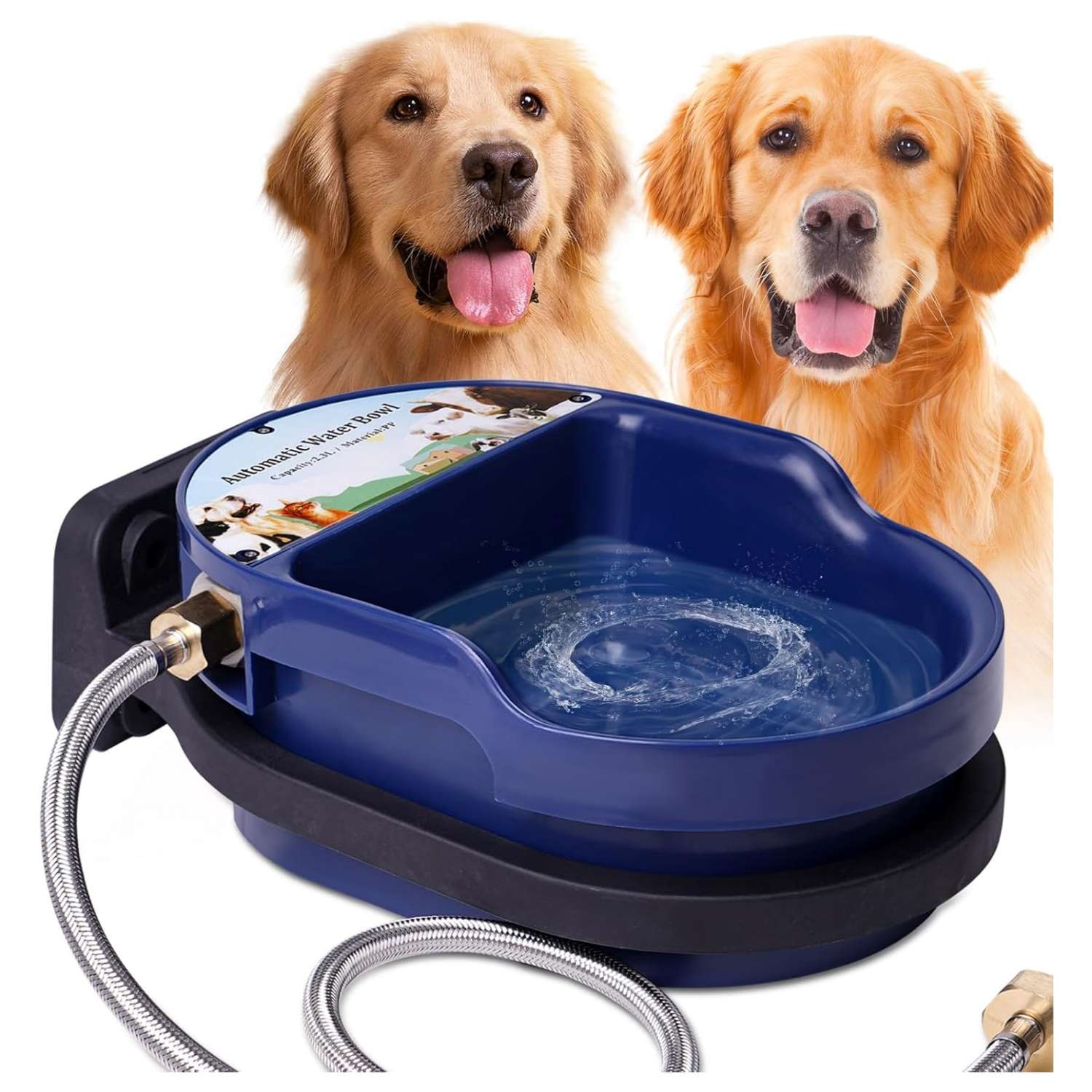 Bebedero automatico de plastico de 2 litros con conexion a manguera instalado en la pared para perros.