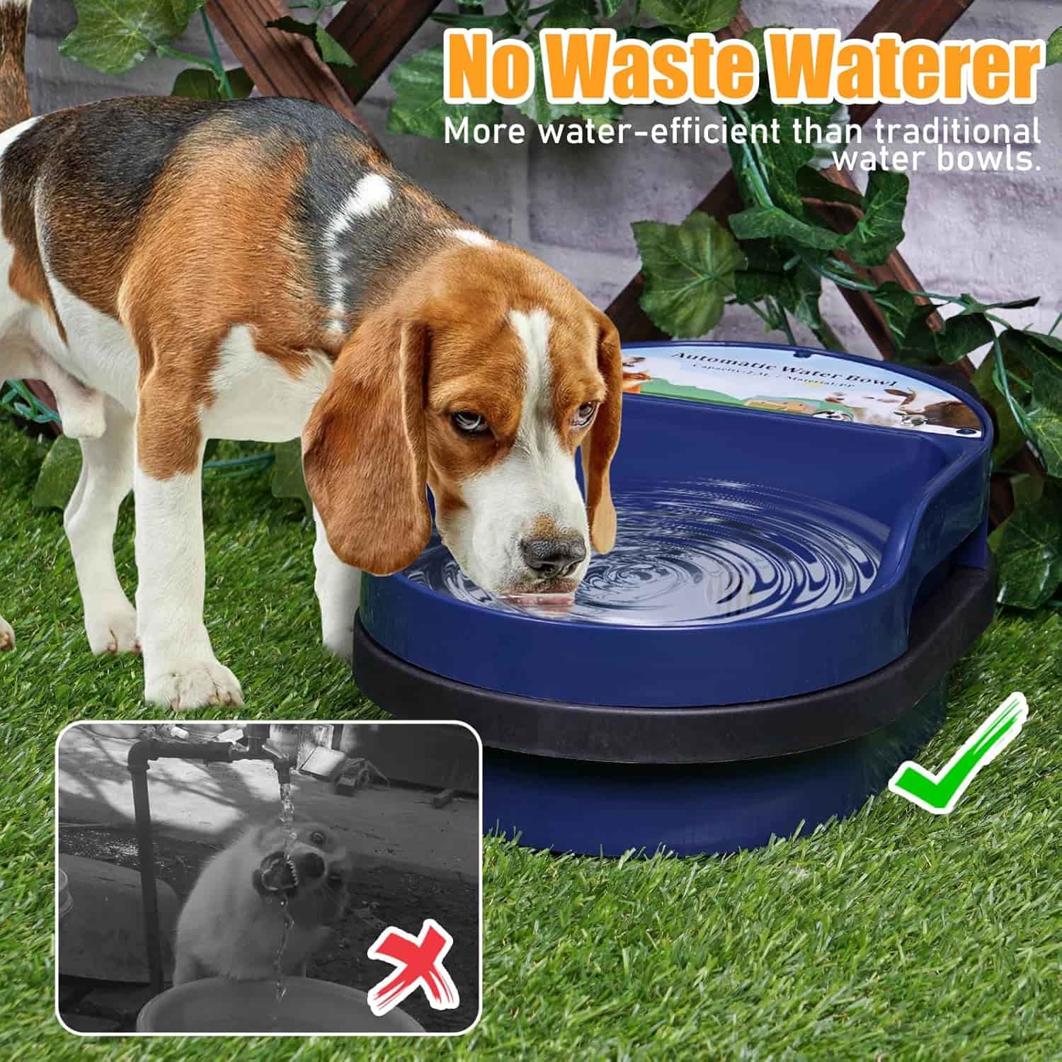 Bebedero automatico de plastico de 2 litros con conexion a manguera instalado en la pared para perros.