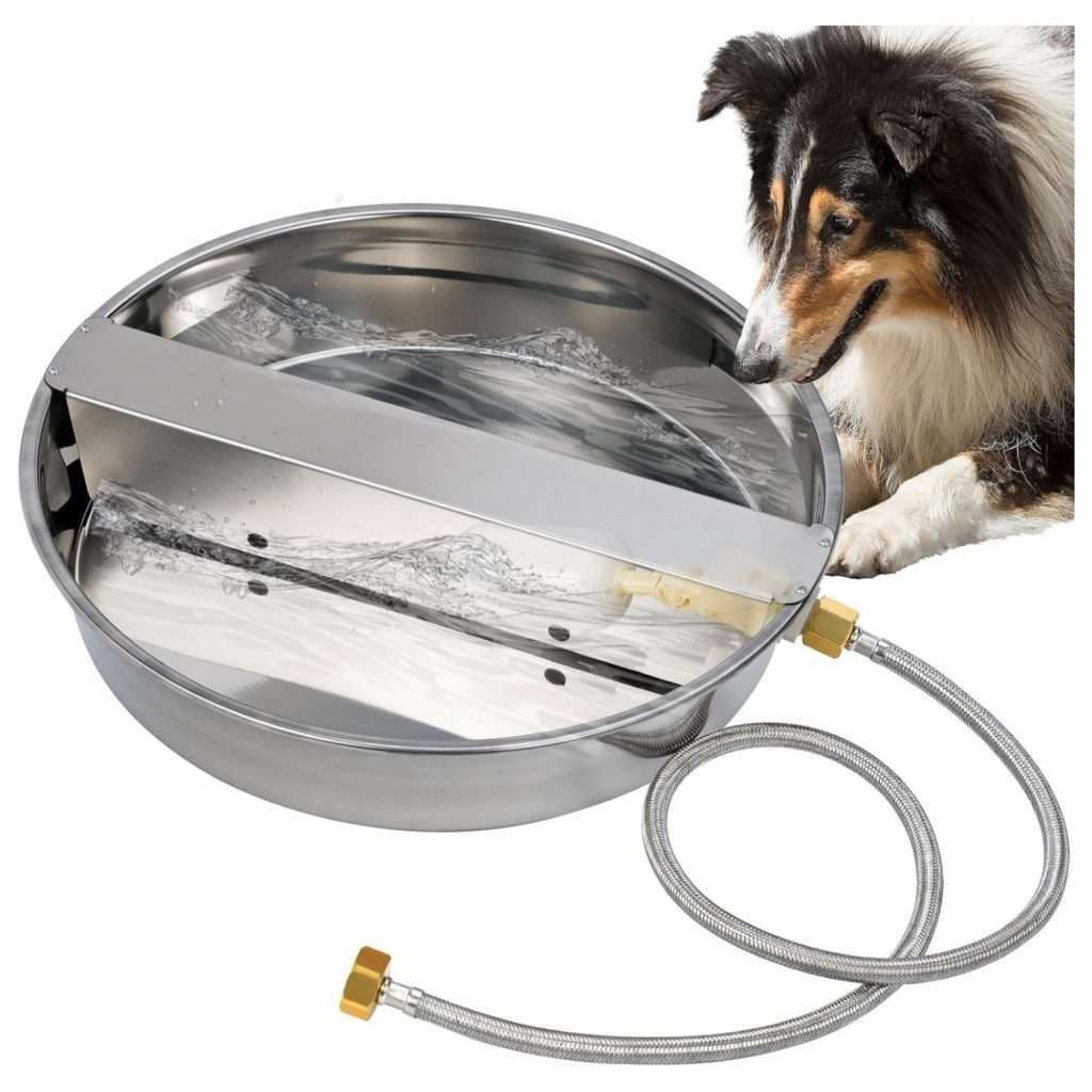 Bebedero automatico premium de acero inoxidable de 6.8 litros para perros grandes conectado a la manguera en el patio.