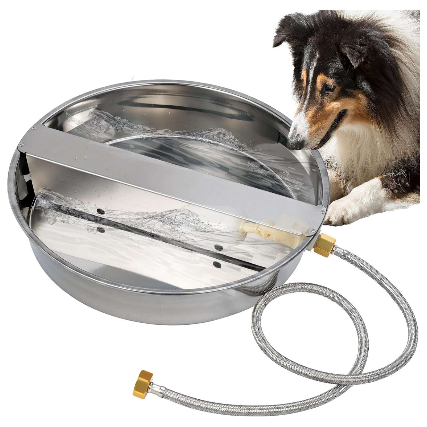 Bebedero automatico premium de acero inoxidable de 6.8 litros para perros grandes conectado a la manguera en el patio.