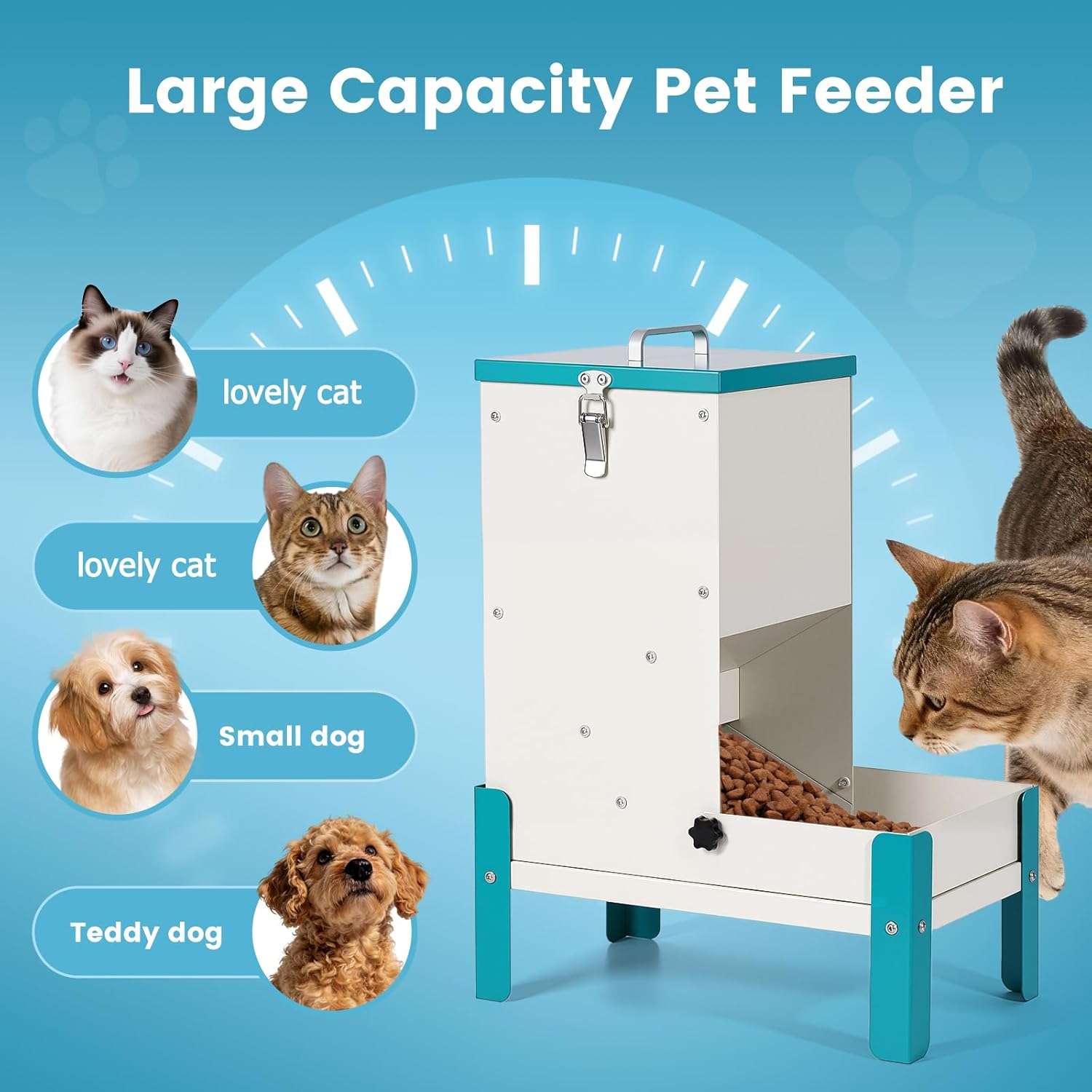 Comedero Galvanizado Automático por Gravedad Elevado de 5 Kilos para Perros y Gatos - Imagen 8