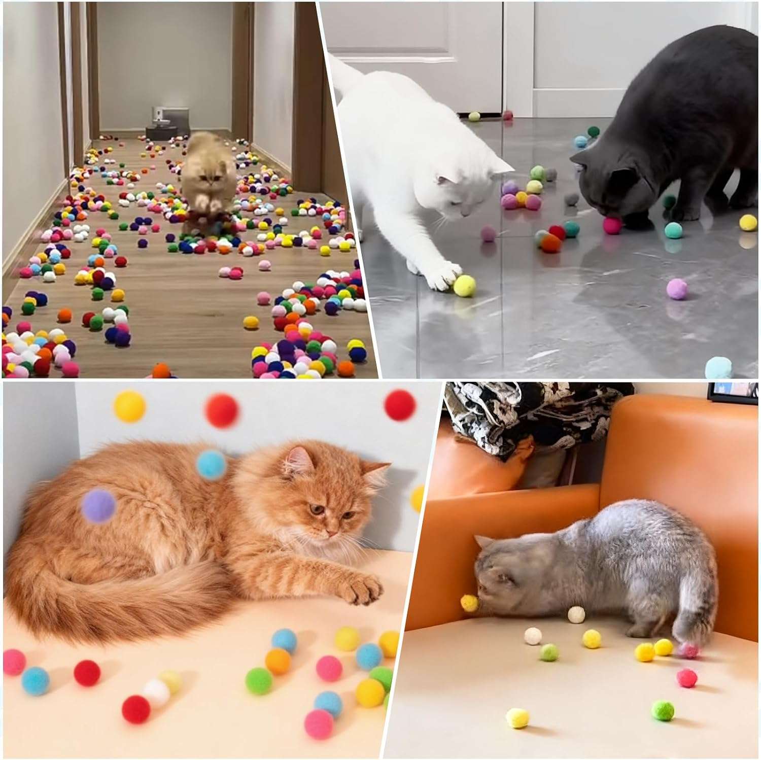 bolas gatos 100 pompones felpa juguete interactivo interior chile