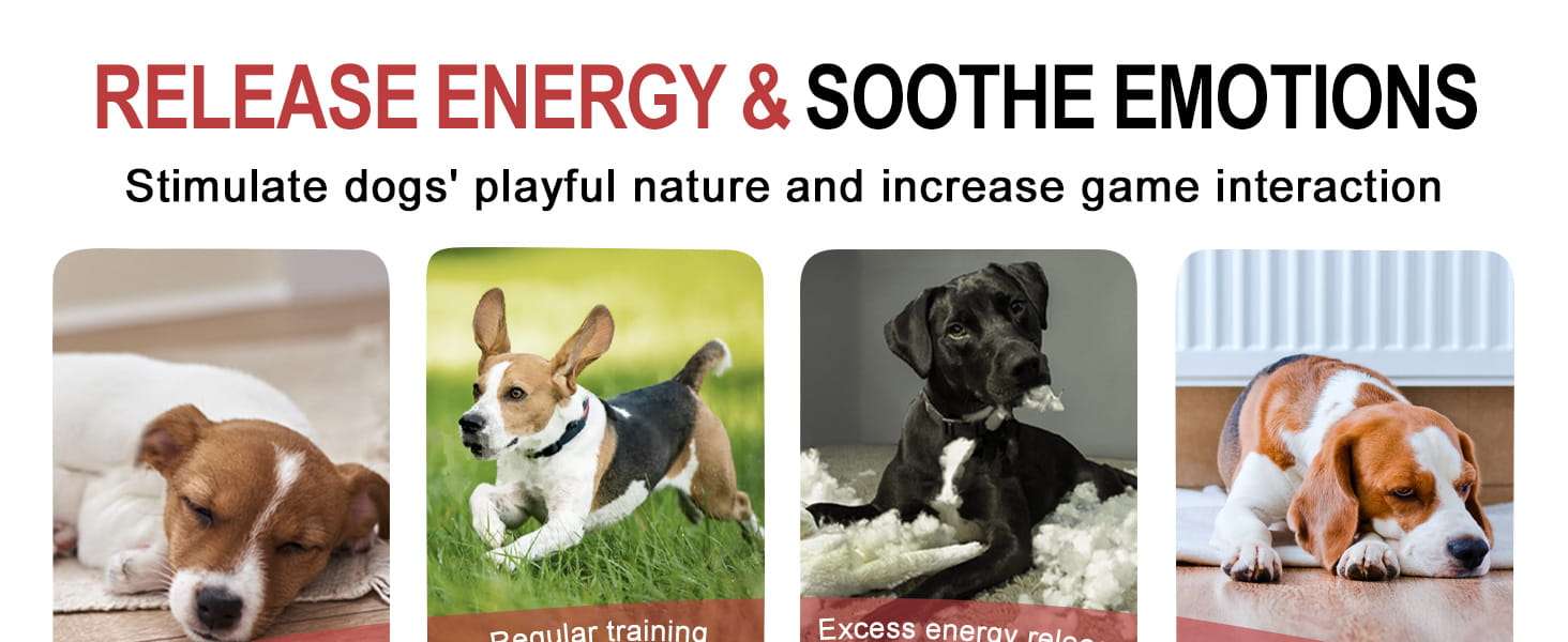 juguete colgante interactivo perros tira y afloja resorte ideal para exterior en chile