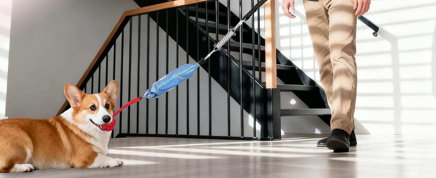 juguete colgante interactivo perros tira y afloja resorte ideal para exterior en chile