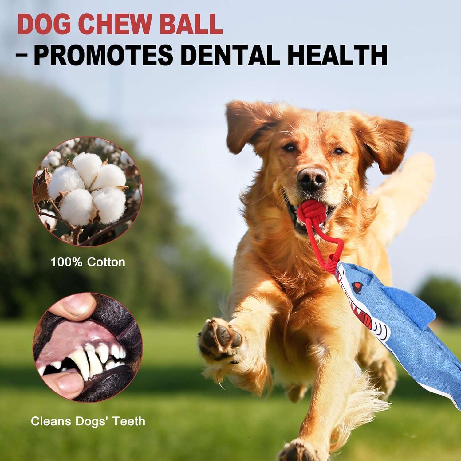 juguete colgante interactivo perros tira y afloja resorte ideal para exterior en chile