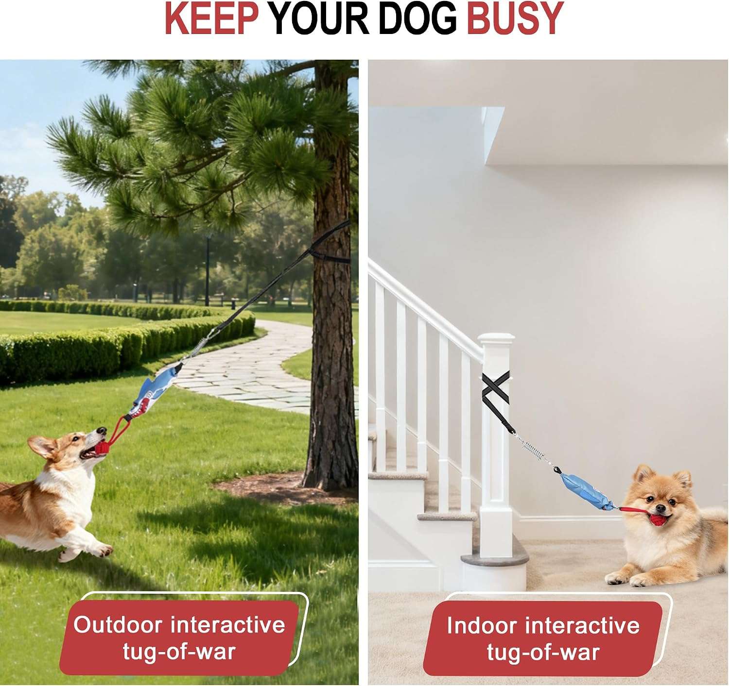 juguete colgante interactivo perros tira y afloja resorte ideal para exterior en chile