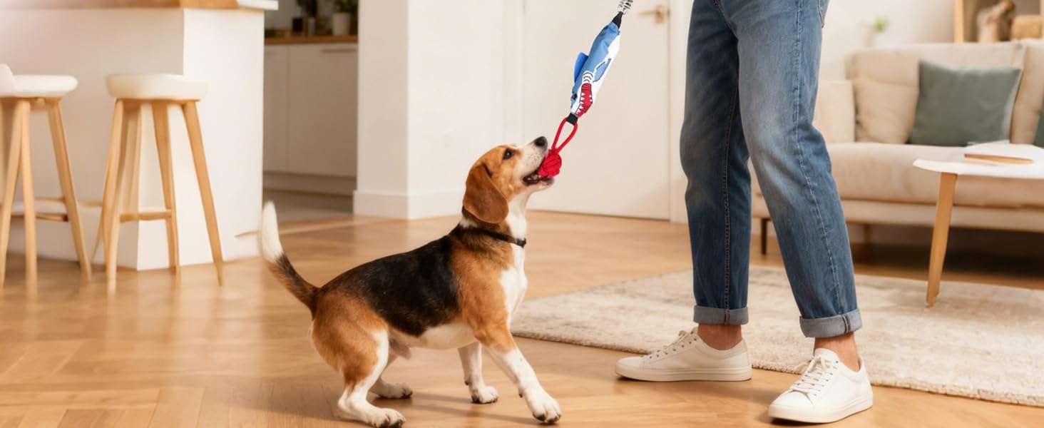 juguete colgante interactivo perros tira y afloja resorte ideal para exterior en chile