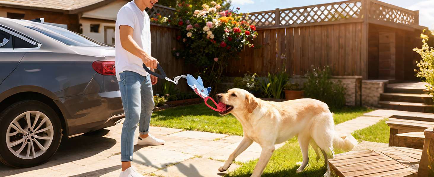 juguete colgante interactivo perros tira y afloja resorte ideal para exterior en chile