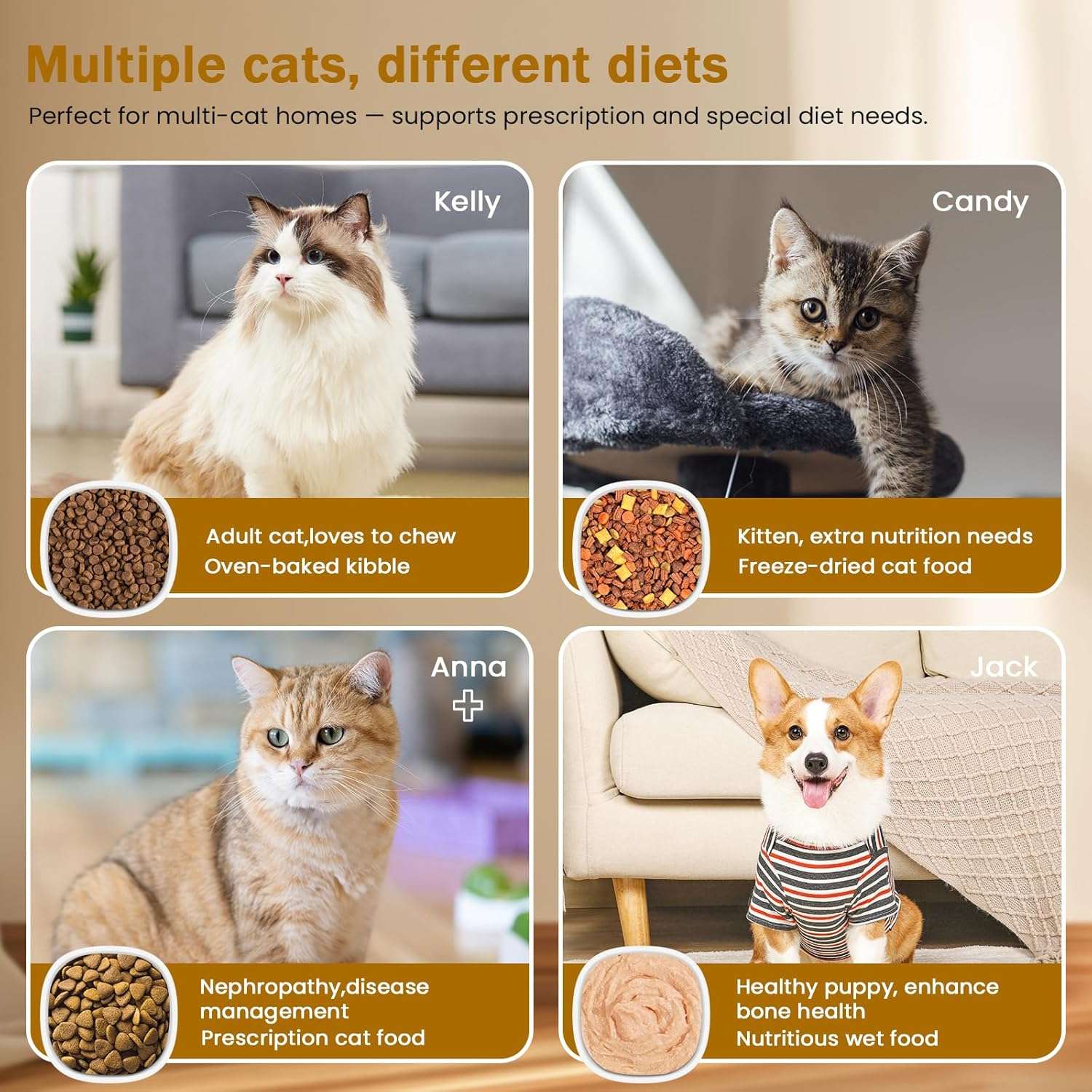 Comedero automatico selectivo con sensor de collar y compartimento de hielo para comida humeda de mascotas