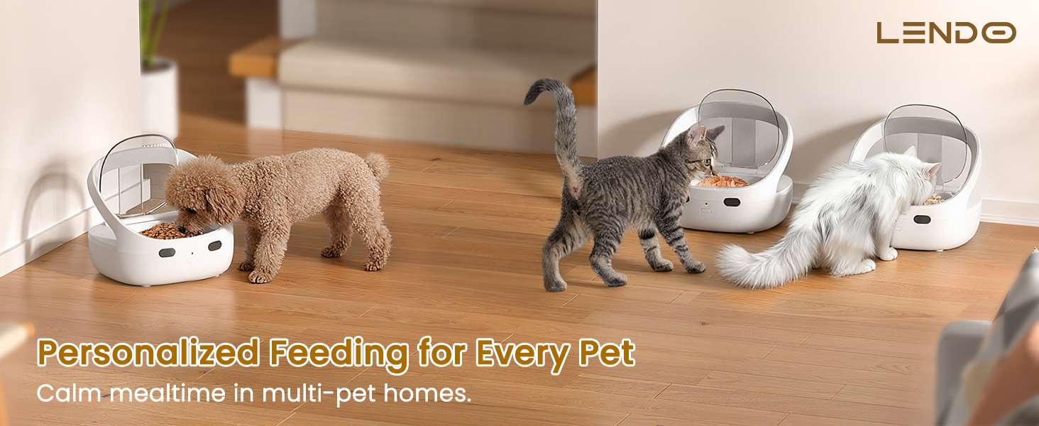 Comedero automatico selectivo con sensor de collar y compartimento de hielo para comida humeda de mascotas