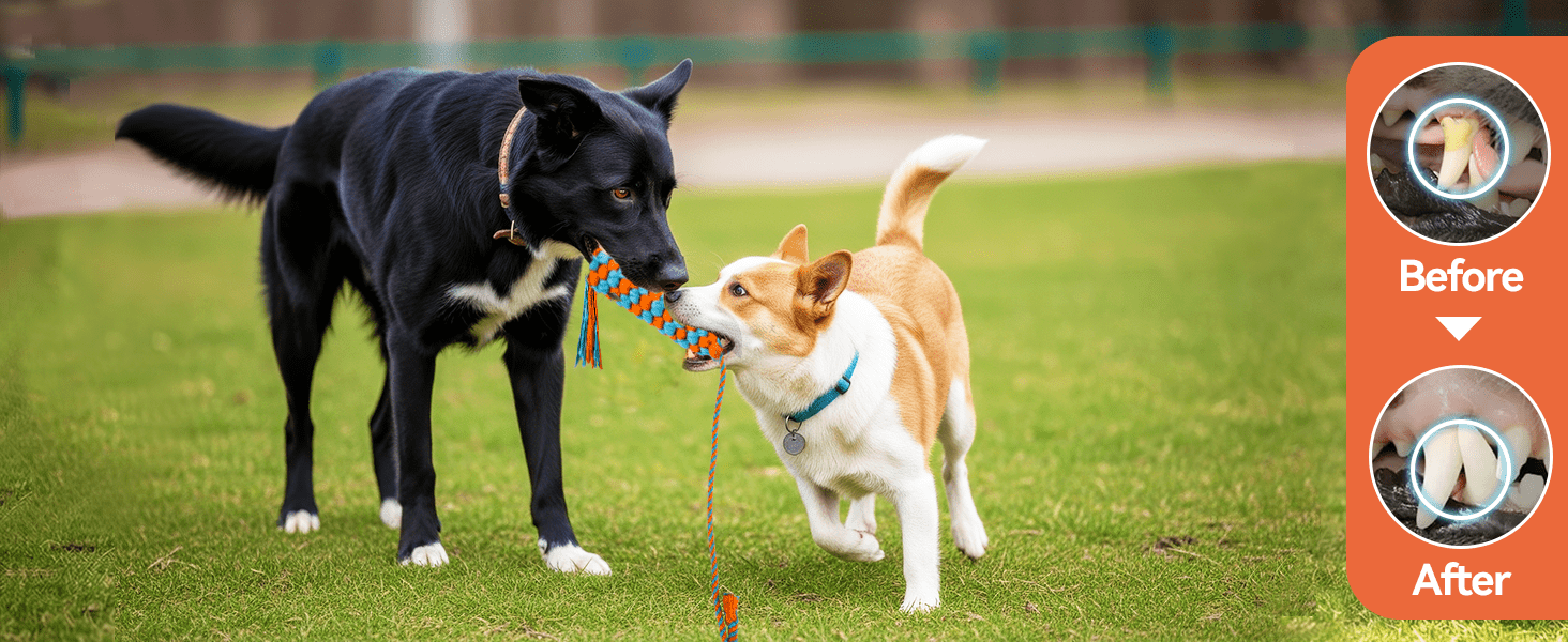juguete colgante para perros cuerda elastica 238 centimetros ideal para jugar al aire libre en chile