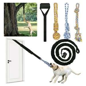 juguete colgante perro interior exterior cuerda elastica 260 centimetros ideal para mascotas en chile