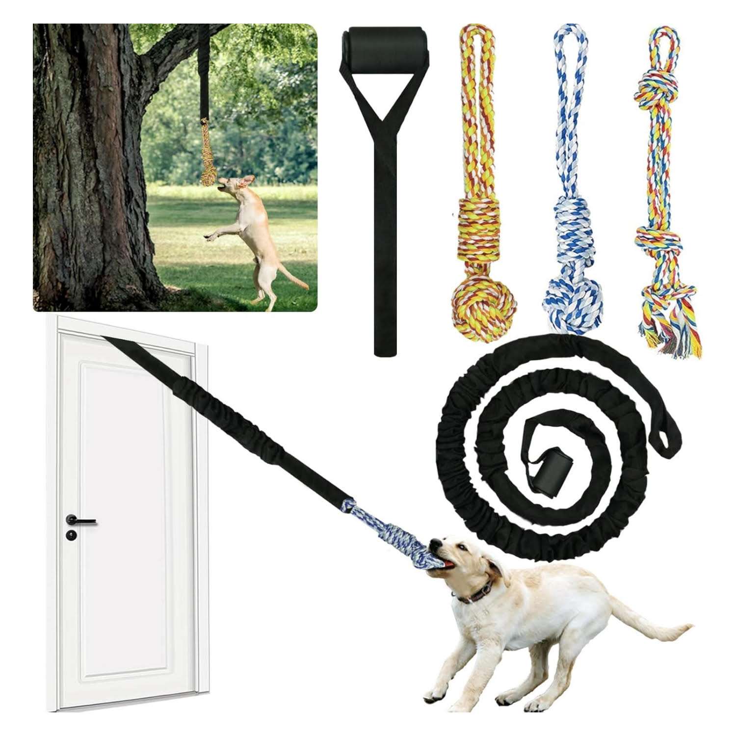 juguete colgante perro interior exterior cuerda elastica 260 centimetros ideal para mascotas en chile