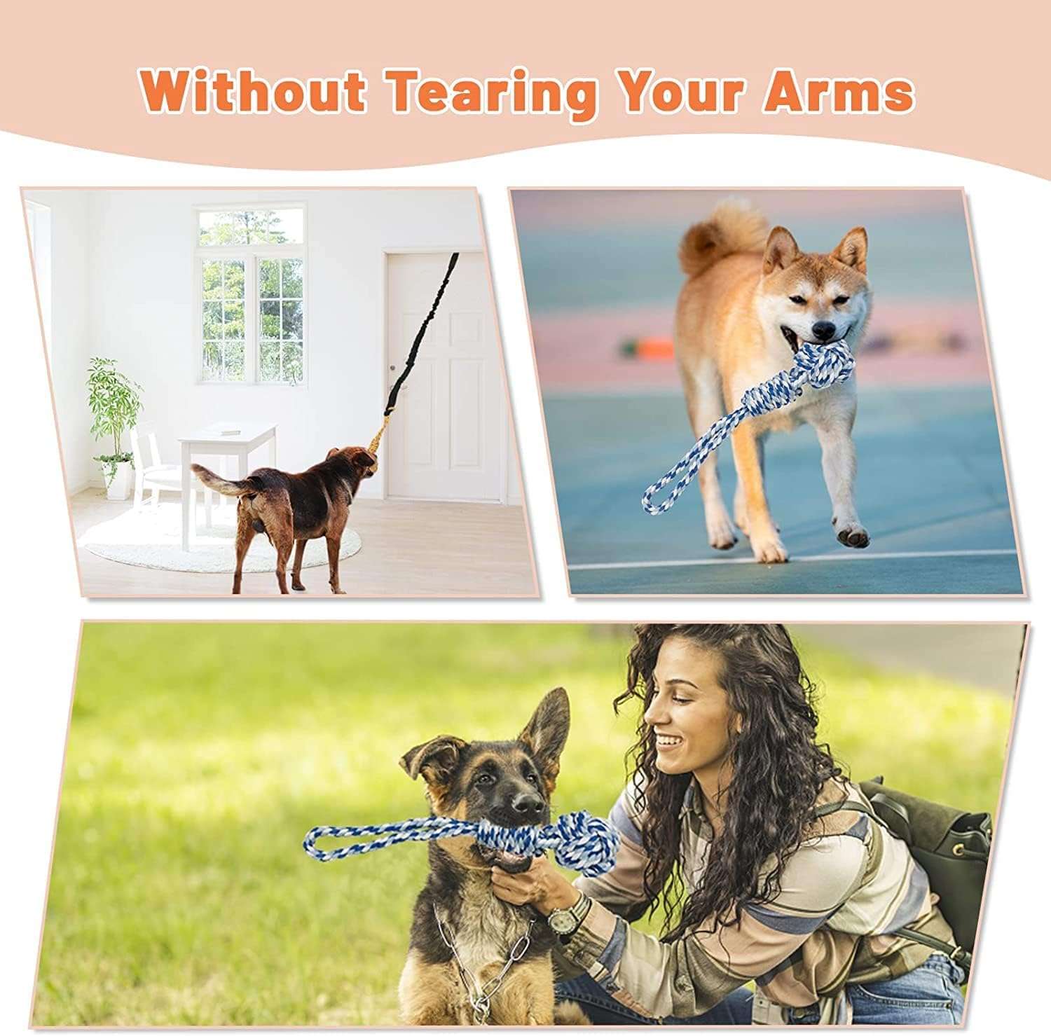 juguete colgante perro interior exterior cuerda elastica 260 centimetros ideal para mascotas en chile