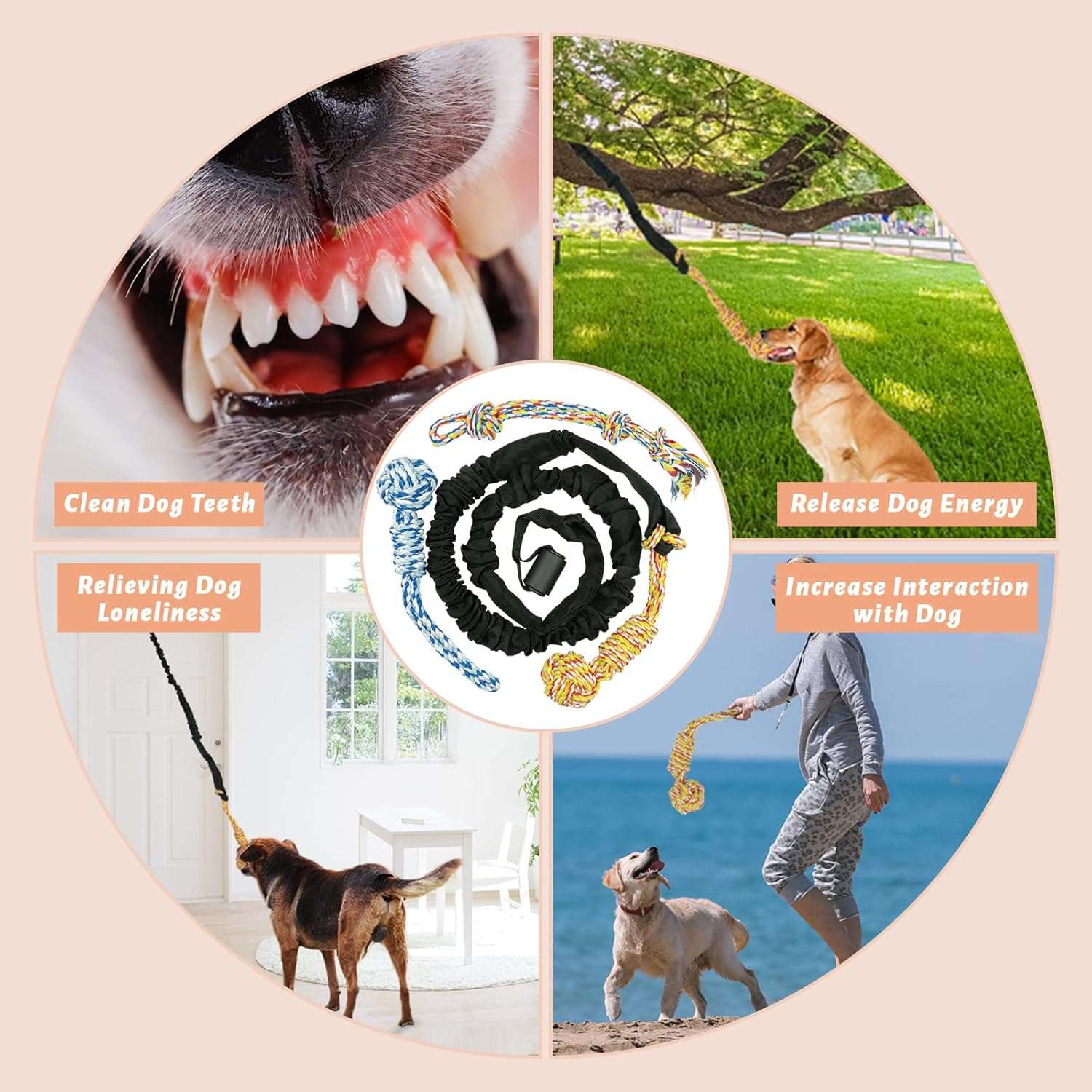 juguete colgante perro interior exterior cuerda elastica 260 centimetros ideal para mascotas en chile