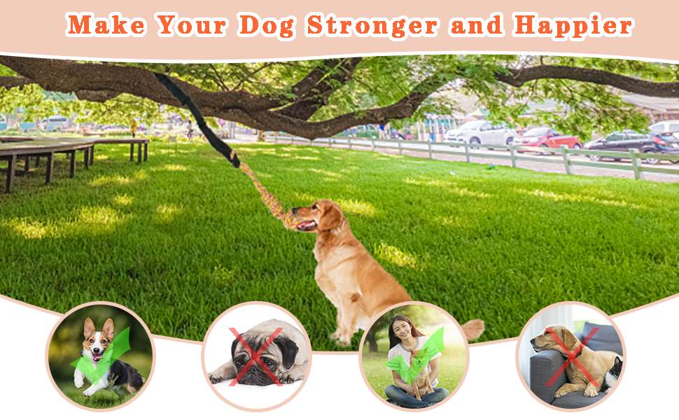 juguete colgante perro interior exterior cuerda elastica 260 centimetros ideal para mascotas en chile