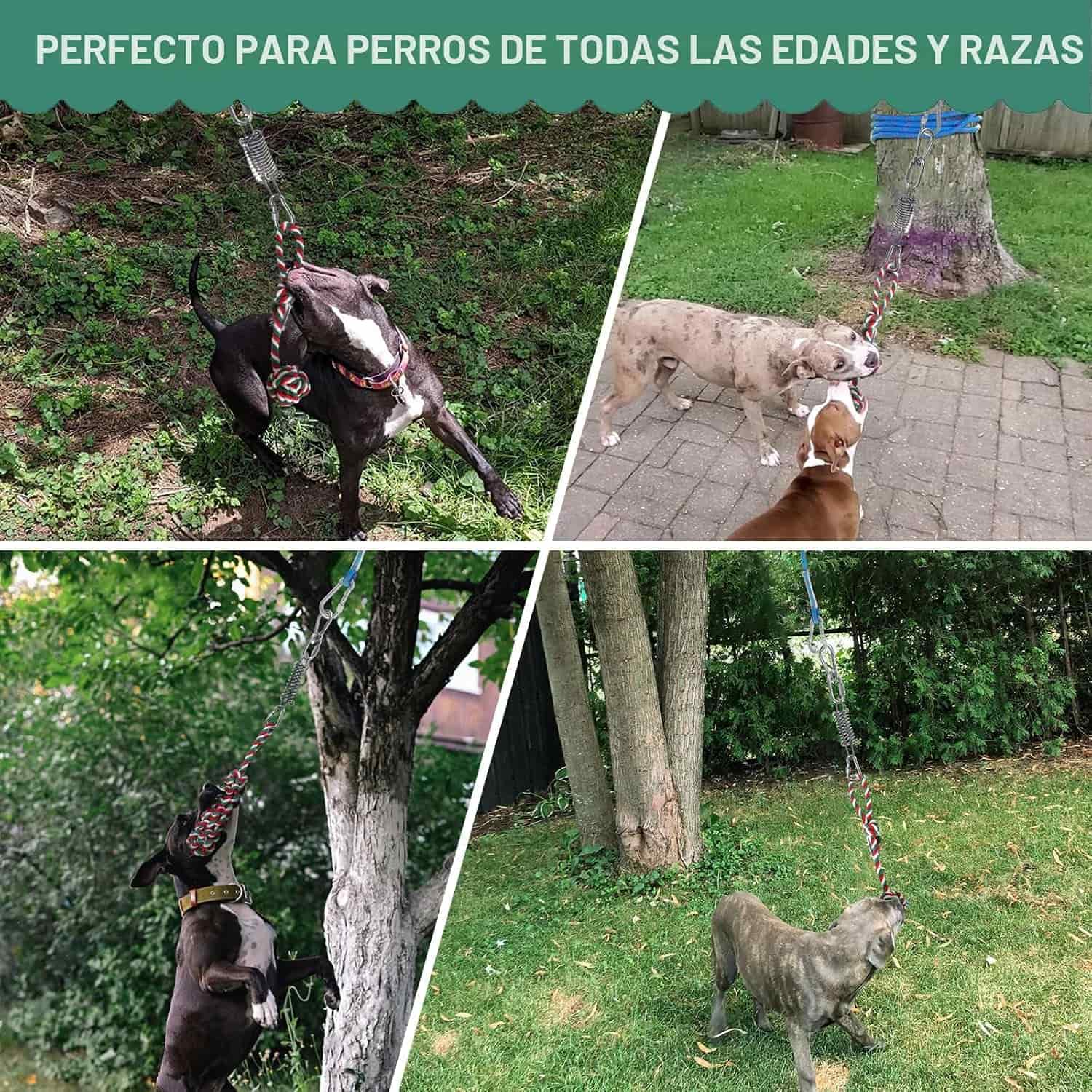 juguete de cuerda elástica colgante para perros en árbol, sistema de tira y afloja resistente para exteriores
