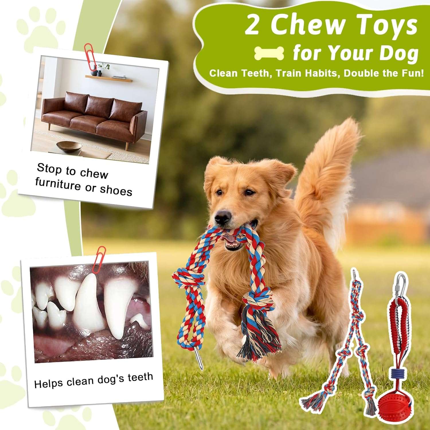 juguete interactivo patio perros tira y afloja estaca acero ajustable ideal para mascotas en chile