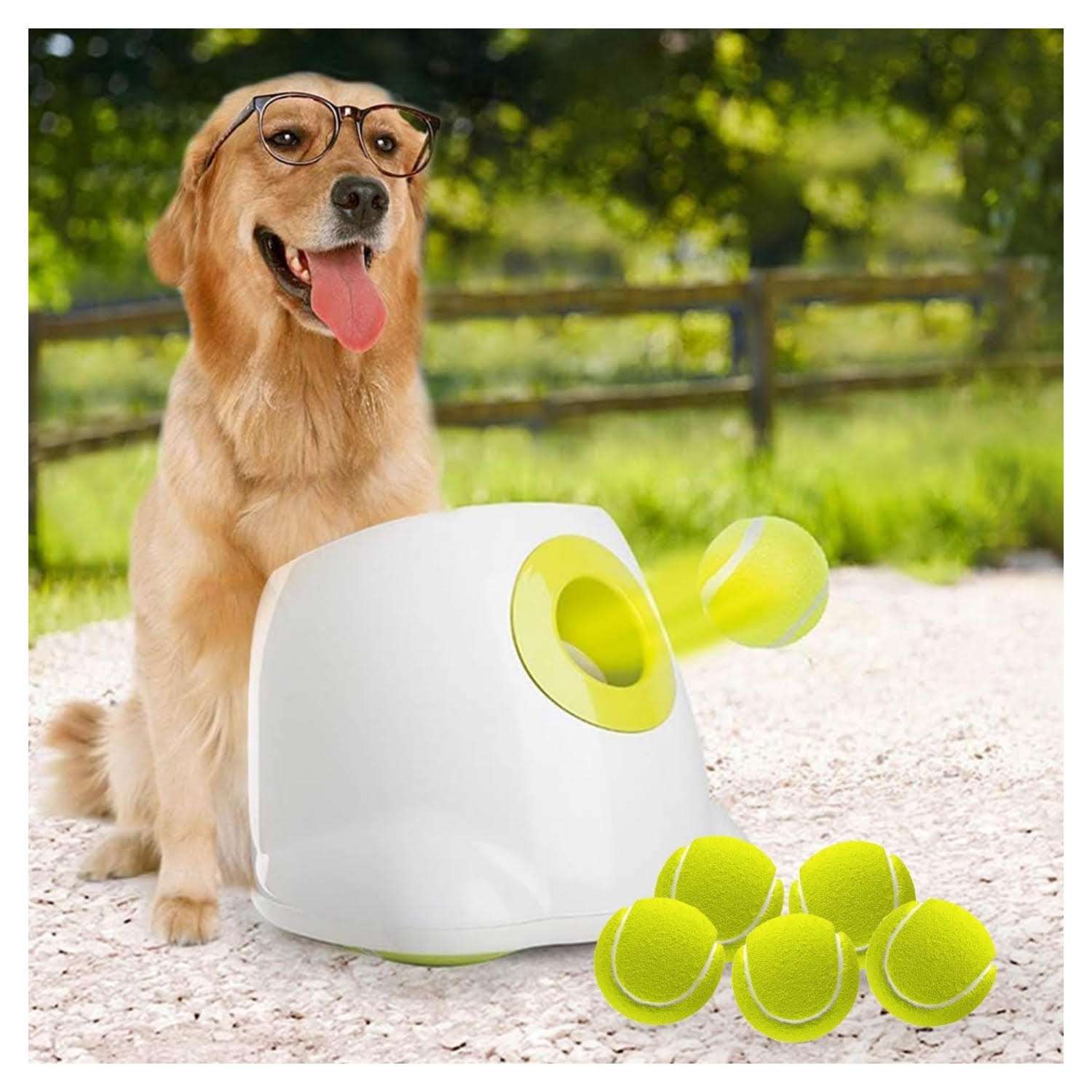 lanzador automatico pelotas tenis perros grandes recargable 1219 centimetros ideal para chile