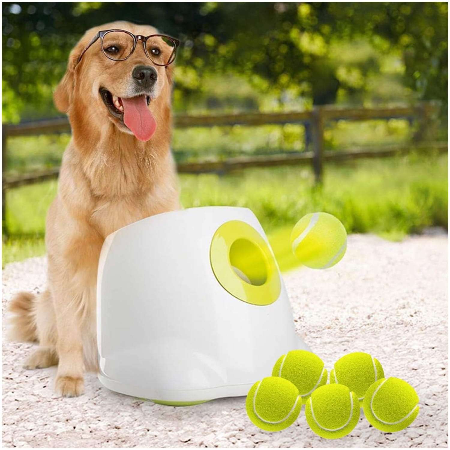 lanzador automatico pelotas tenis perros grandes recargable 1219 centimetros ideal para chile
