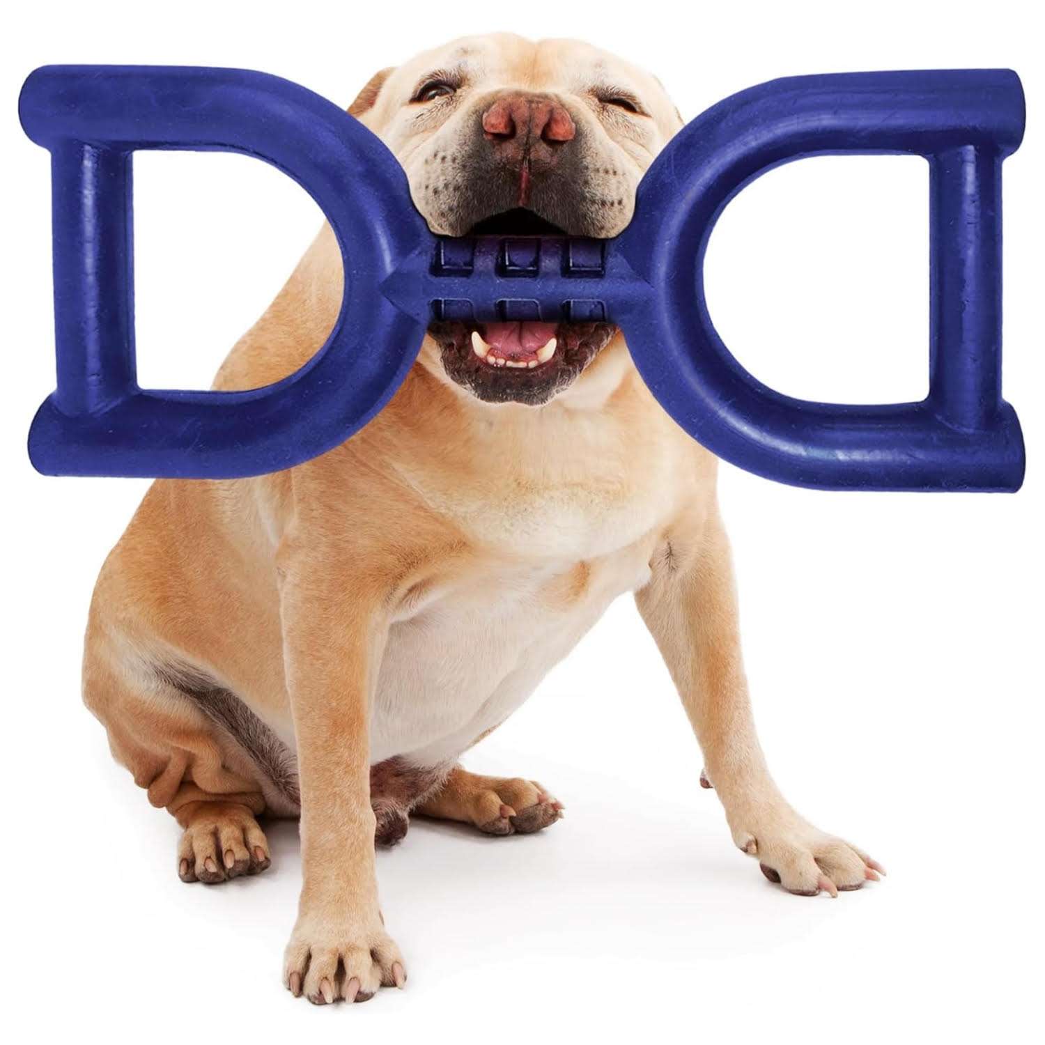 juguete perros tira afloja goma resistente azul adiestramiento ideal para chile