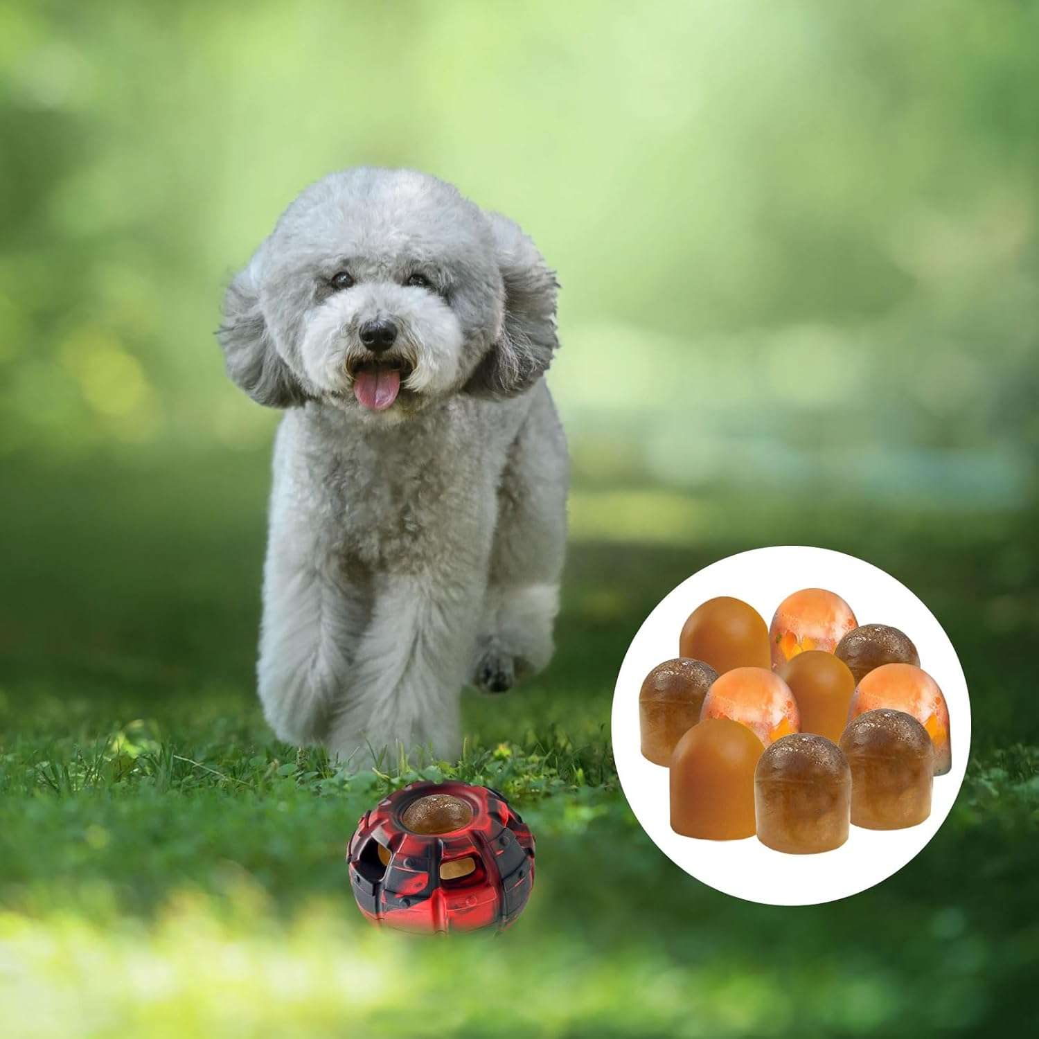 juguete interactivo dispensador golosinas congeladas perros pequeños goma comedero lento chile