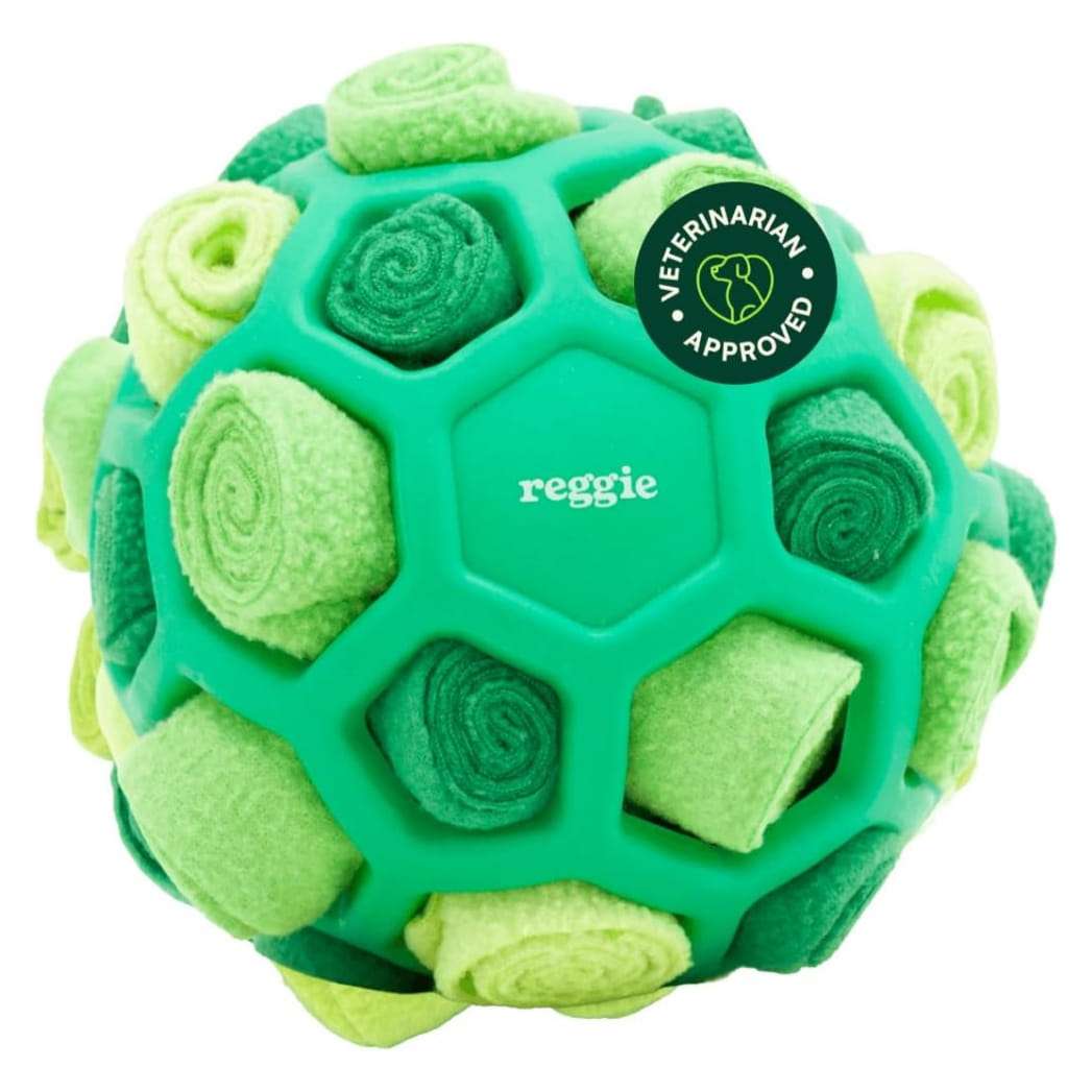 pelota interactiva perros olfato dispensador premios lavable ideal para chile