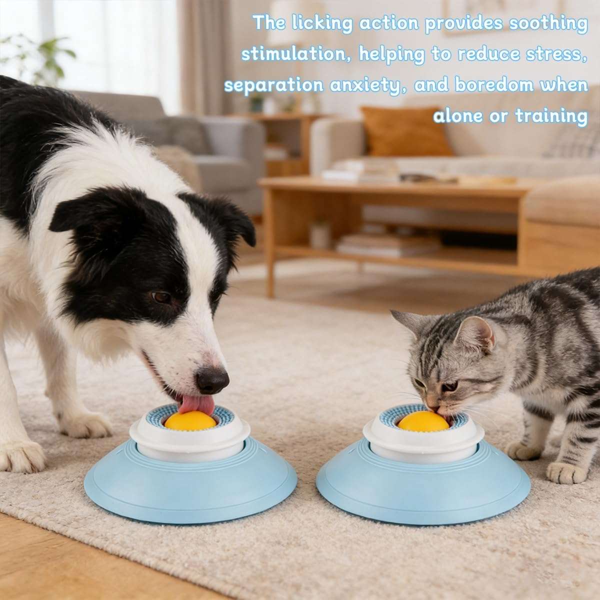 plato lamedor perro gato alimentador lento bola giratoria ventosa antideslizante chile
