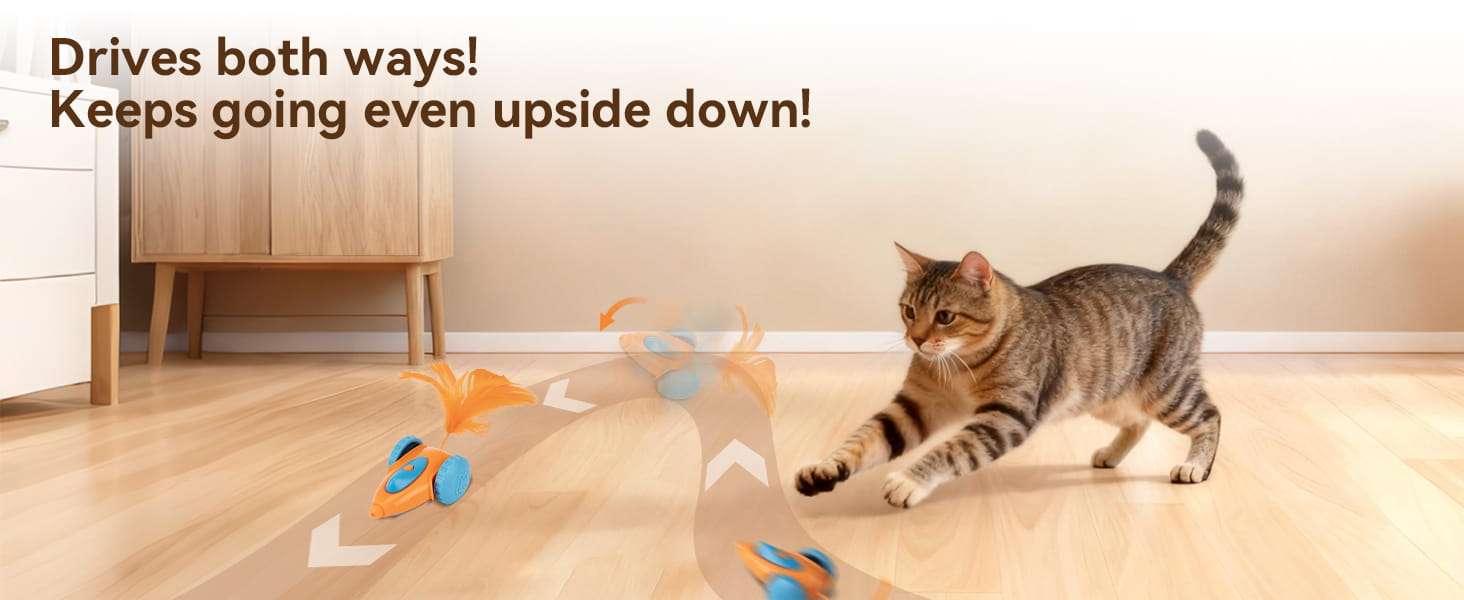 raton interactivo inteligente gatos automatico recargable 6 por 8 centimetros ideal para alfombras en chile