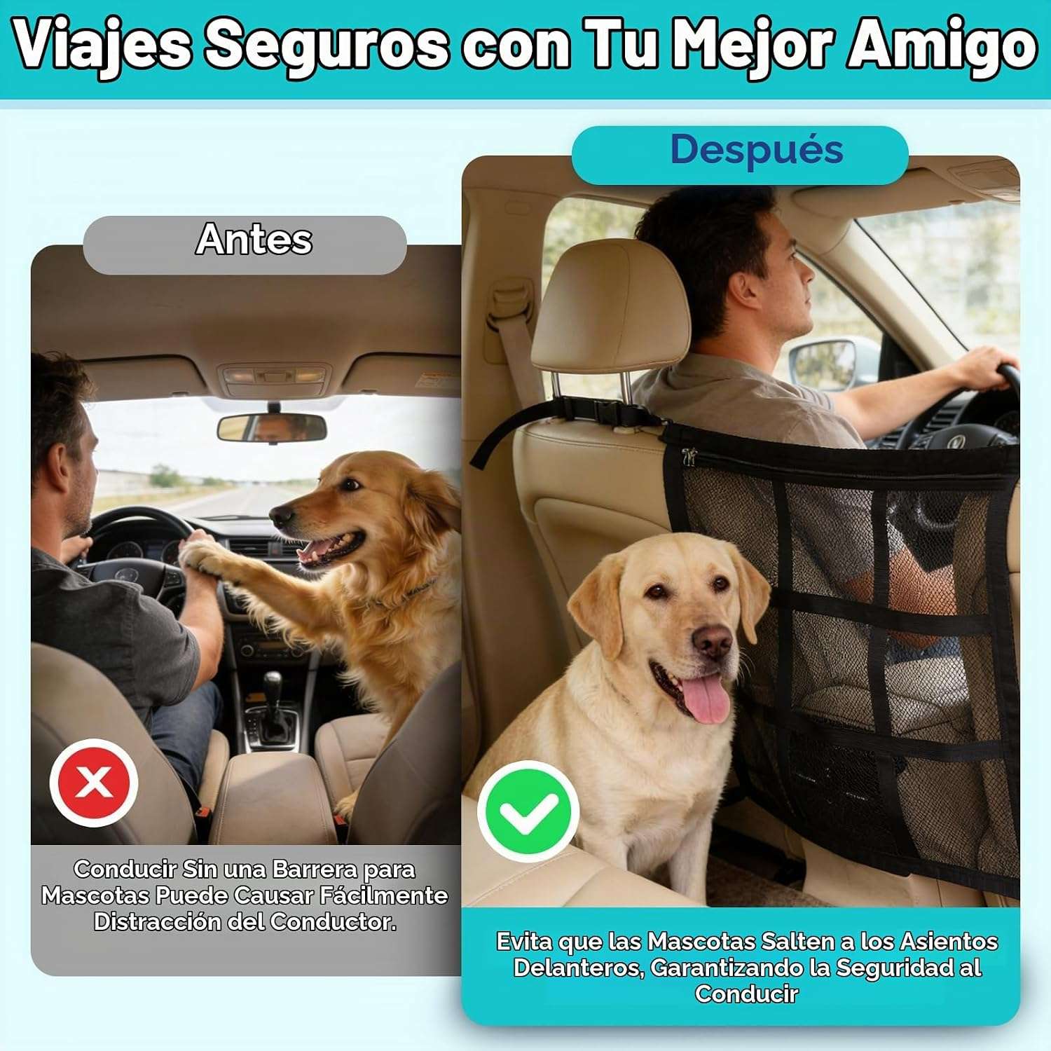 Malla separadora de auto para perros con bolsillo organizador instalada en el asiento trasero.