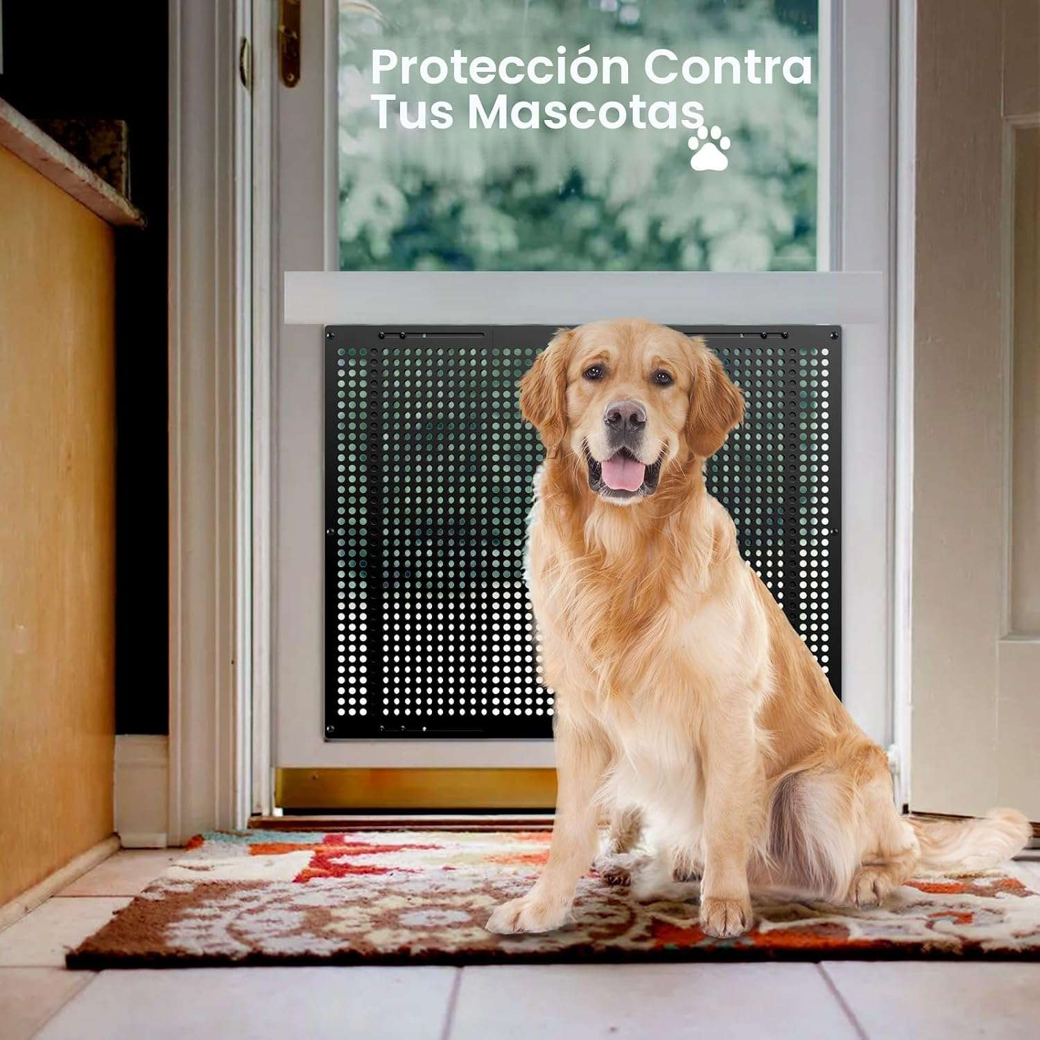 https://www.doctormascota.cl/producto/incubadora-neonatal-con-calefaccion-y-ventilacion-control-de-temperatura-para-cachorros-y-gatitos-de-58x43x35-cm/