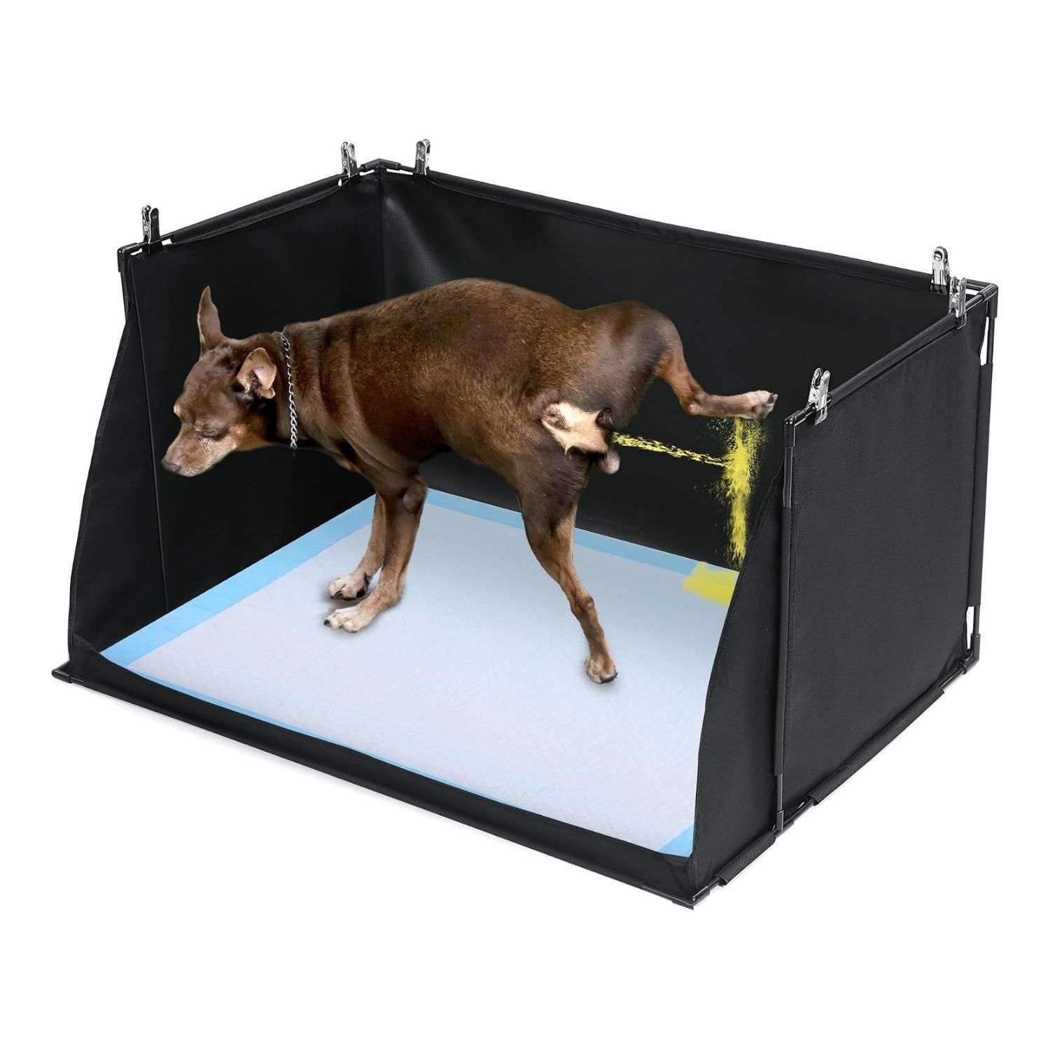 baño interior para perros paredes altas 86x71x45 centimetros sabanillas ideal para chile