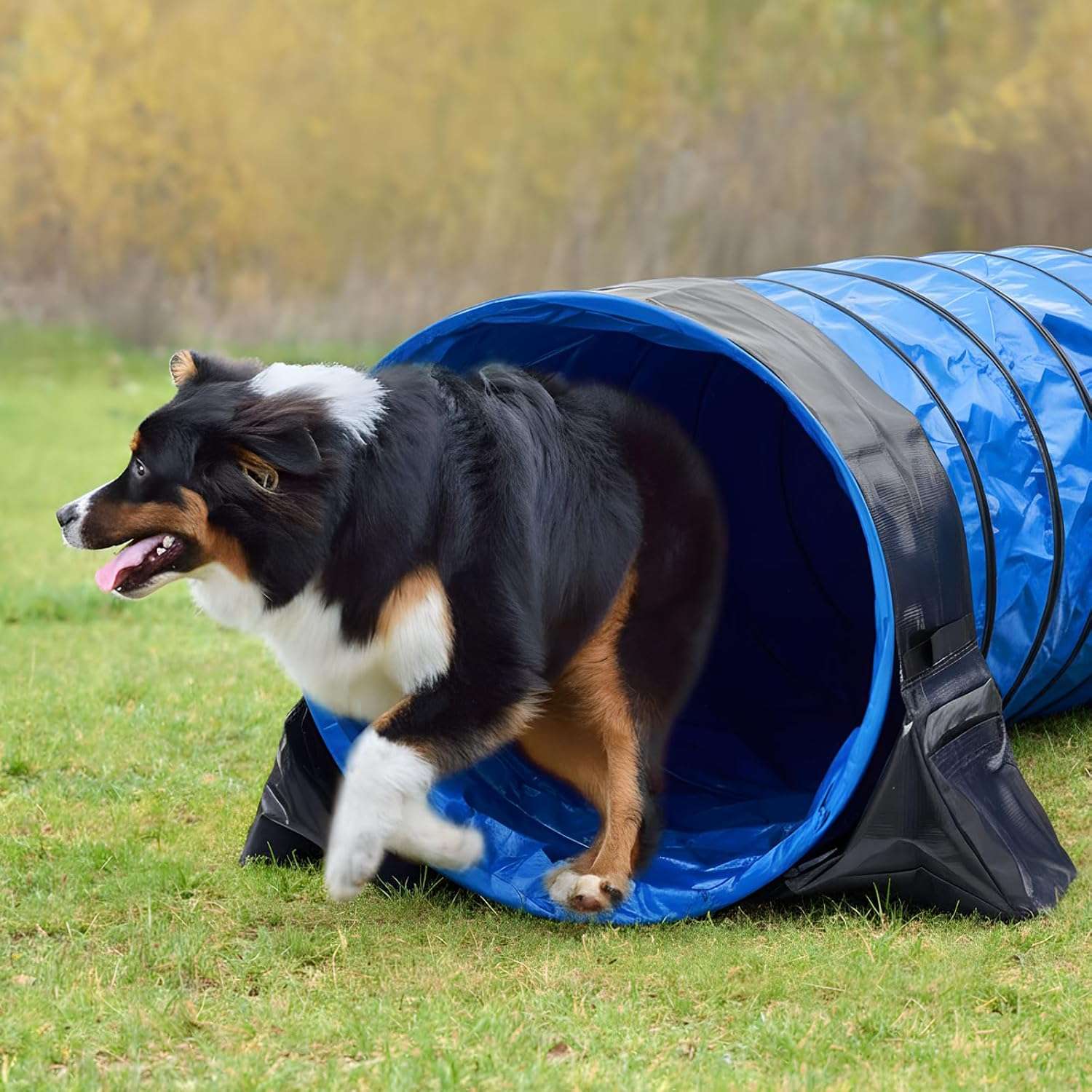 Tunel de agilidad portatil de tela Oxford y PVC para el entrenamiento de perros.